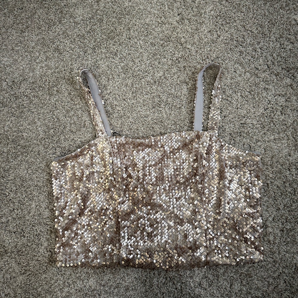 NWT Sequin Crop Top- 1X